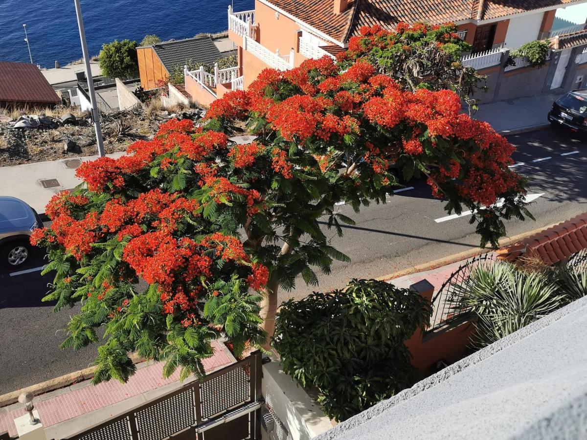 Balcon De Costanera Santa Cruz de Tenerife Exterior foto